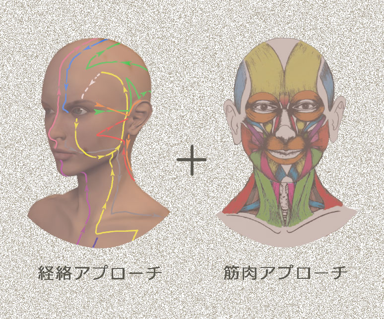 経絡と筋肉のアプローチ